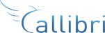Callibri Documentation